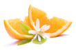 Orangenspalten