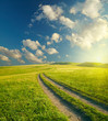 Summer landscape with green grass, road and clouds