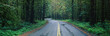 Photo: This is located in the Hoh Rain Forest. It shows a rain soaked road in bad weather surrounded by green trees, ferns and foliage of the surrounding rain forest. This is located in the Hoh Rain Forest. It shows a rain soaked road in bad weather surrounded by green trees, ferns and foliage of the surrounding rain forest.