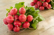 Foto: Ravanelli - radishes Ravanelli - radishes