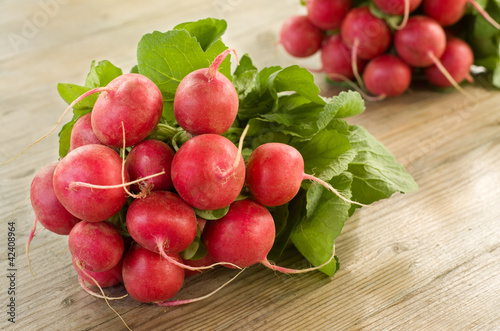 Foto: Ravanelli - radishes Ravanelli - radishes