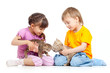 Children boy and girl playing with kittens. Isolated on white ba