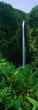 Photo: This is Akaka Falls State Park. The falls are 442 feet long. It is located north of Hilo. This is Akaka Falls State Park. The falls are 442 feet long. It is located north of Hilo.