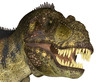 Tyrannosaurus' Head