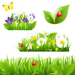 Flowers With Grass Butterfly And Ladybug