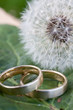 Hochzeitsringe