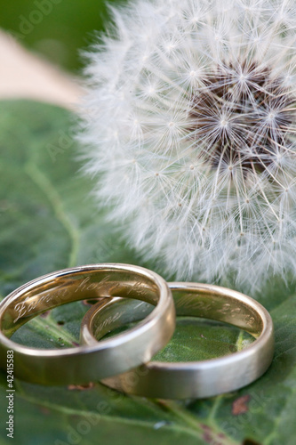 Foto: Hochzeitsringe Hochzeitsringe