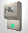 smart meter [intelligenter Stromzähler]