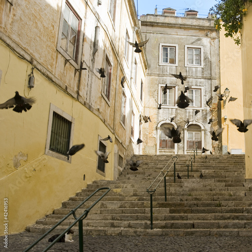 Foto: rue de Lisbonne, Portugal rue de Lisbonne, Portugal