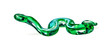 Glass green snake