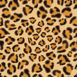 Leopard seamless pattern