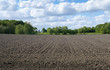 ploughed field