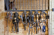Harness Racing Equipment