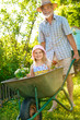 Photo: Grandfather giving granddaughter ride in wheelbarrow Grandfather giving granddaughter ride in wheelbarrow