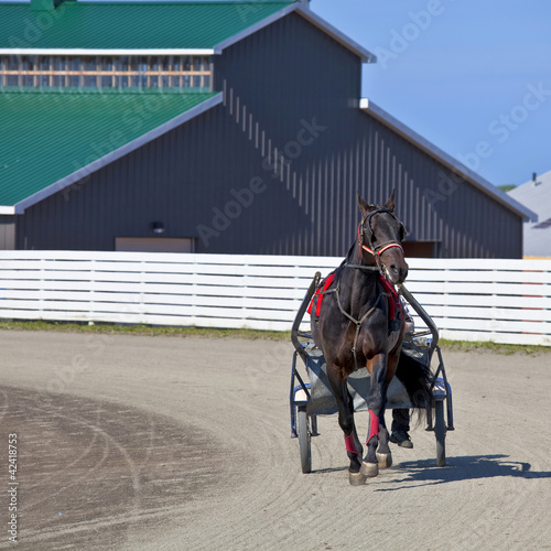 Photo: Harness Racing Harness Racing