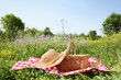Picnic
