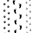 Footprint on white