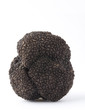 Photo: Tartufo Tartufo