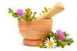Mortar, medicine herbs and flowers