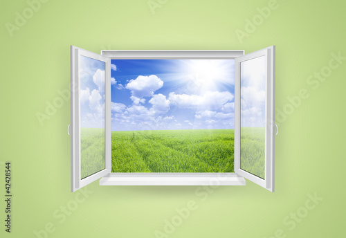 Photo: window window
