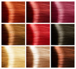 Hair Colors Palette