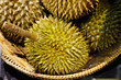 Durian Thai Fruit