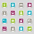Icon Set Fruits