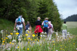 Mittelweg Etappe 7-9