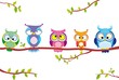 owl five