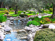 garden with pond in asian style