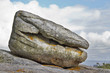 Roca con forma de ostra en la Illa de Arousa, Pontevedra