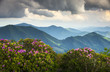 Blue Ridge Appalachian Mountains and Spring Flowers Blooming