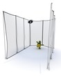 tortoise competing in discus