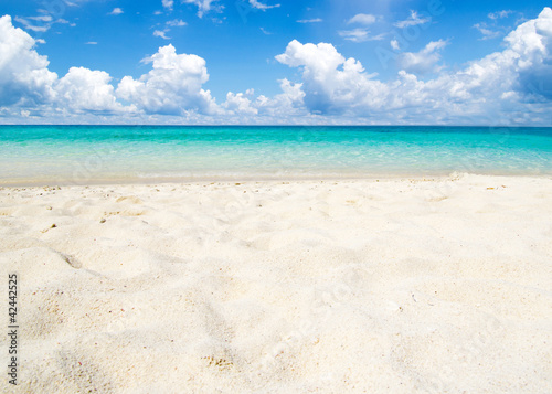 Photo: sea sea