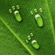 Water footprints on leaf
