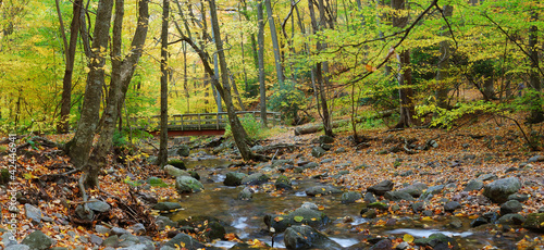 Photo: Autumn forest panorama with wood bridge over creek Autumn forest panorama with wood bridge over creek