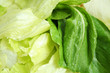 Foto: Leafy Greens Leafy Greens