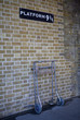 Platform 9 and Three Quarters at Kings Cross Station