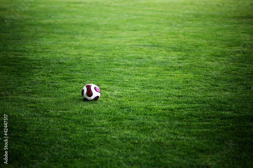 Photo: Fussball WM Fussball WM