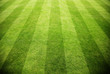Rasen im Stadion
