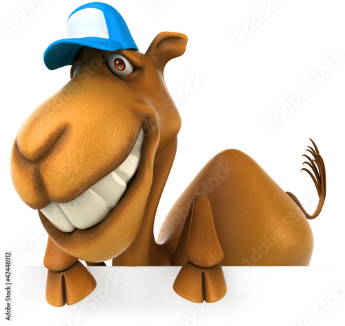 Ilustração : Fun camel Fun camel