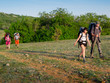 Hikers group walking