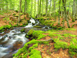 RUISSEAU DE MONTAGNE