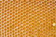 Honey in comb