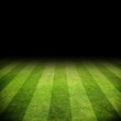 Fussballrasen