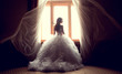 The beautiful bride against a window indoors