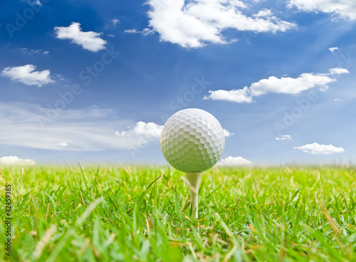 Photo: golf ball and tee grass golf ball and tee grass