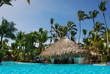 Foto: Palm and swimming pool Palm and swimming pool