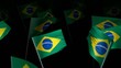 brazil_flag_crowd_3d_loopable