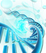 dna